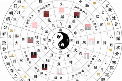 辰的五行|【辰字五行】探索辰字五行：它的屬性和意義